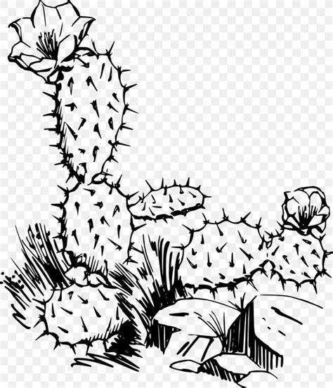 Cactaceae Saguaro Prickly Pear Clip Art PNG 857x1000px Cactaceae