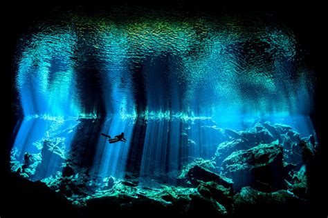 Победители фотоконкурса Underwater Photographer of the Year 2017