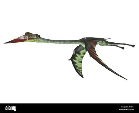 Quetzalcoatlus Banque De Photographies Et Dimages à Haute Résolution