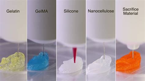 3D Bioprinting Of Different Bioinks Using Biomaker YouTube