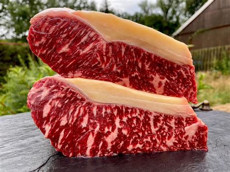 Prime Auslese Rumpsteak Vom Rotbunten Rind Dry Aged 0 360 A