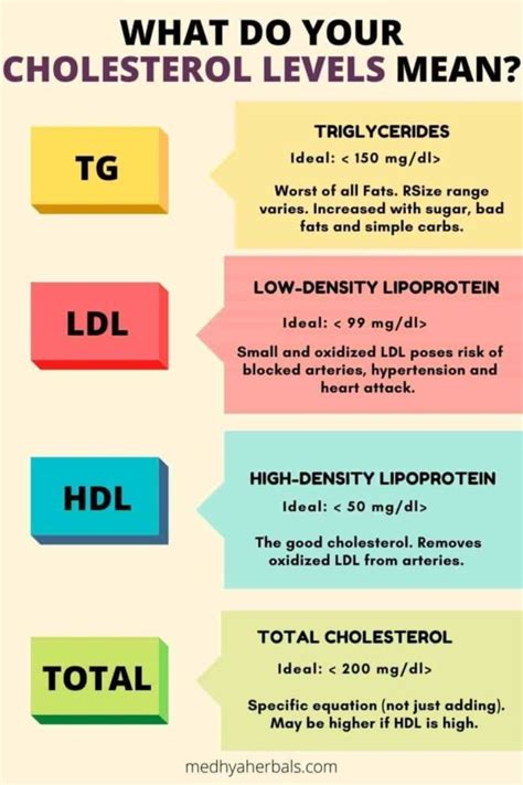 Cholesterol Levels Chart Artofit