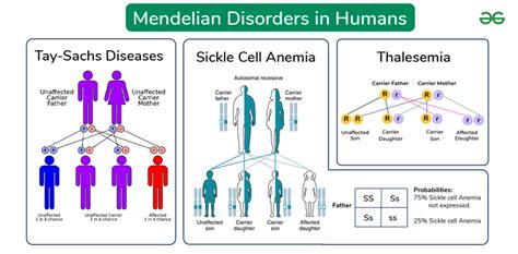 Types of Mendelian Disorders in Humans and Examples - GeeksforGeeks