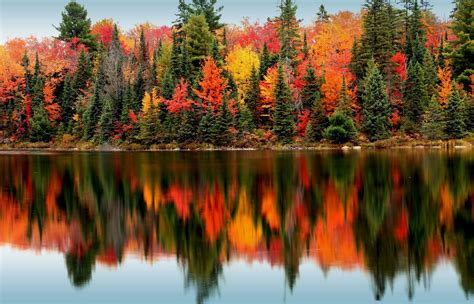 Landscape Pine Trees Lake Wallpapers Hd Desktop And Mobile Backgrounds
