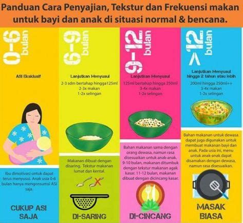 Panduan MPASI Dengan Metode WHO Edisi Lengkap Healtheducation Health