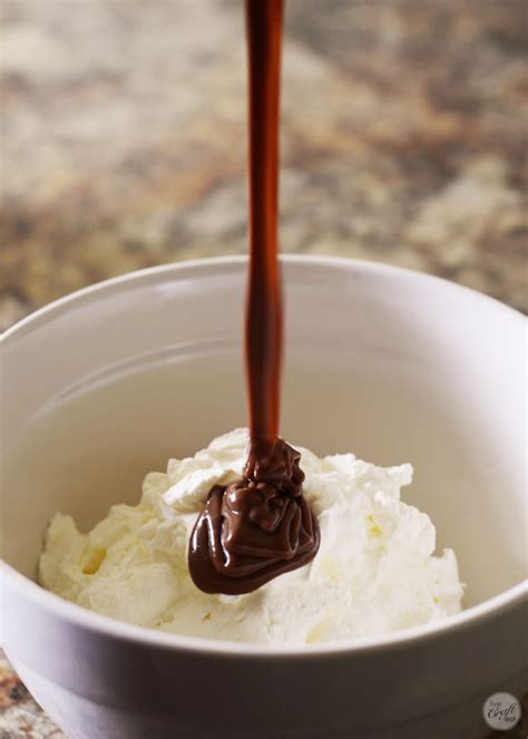 Homemade Nutella Ice Cream Recipe Live Craft Eat