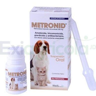 Cu Nto Tarda En Hacer Efecto El Metronidazol En Perros Blog Canarias