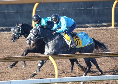 【勝羽の日曜競馬コラム・阪神ジュベナイルf】 日刊ゲンダイ競馬