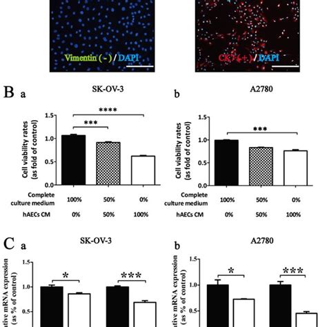 Haecs Induce G0g1 Cell Cycle Arrest In Eoc Cells In A Paracrine