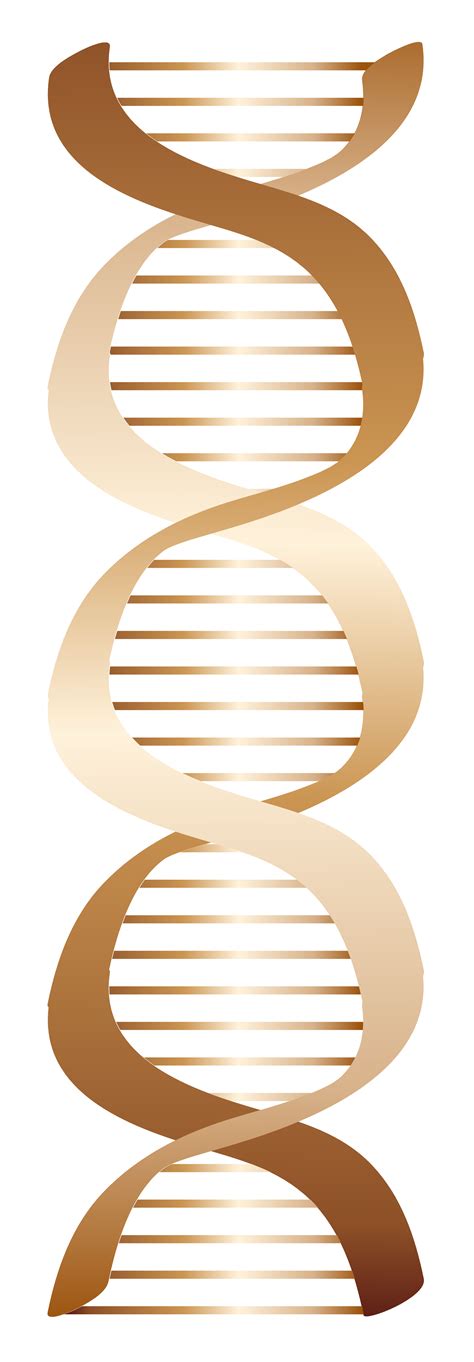 Dna Strand Svg Bundle Dna Strand Png Genes Clipart Helix Etsy Images