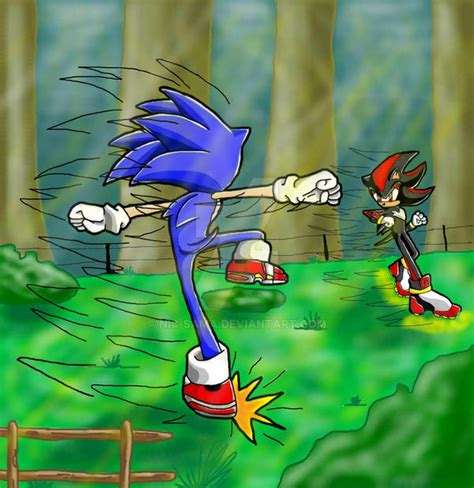 Sonic and Shadow - Fighting by nic-sama on DeviantArt