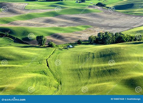 Palouse Landscape from Steptoe Butte Stock Photo - Image of produce ...