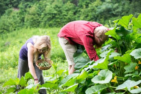 Autonomie Et Autosuffisance Alimentaire Cultiver Pour Le Climat