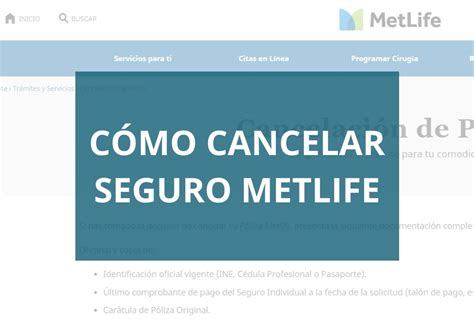 Que Es El Seguro Metlife Darse De Baja Somospymesunidases