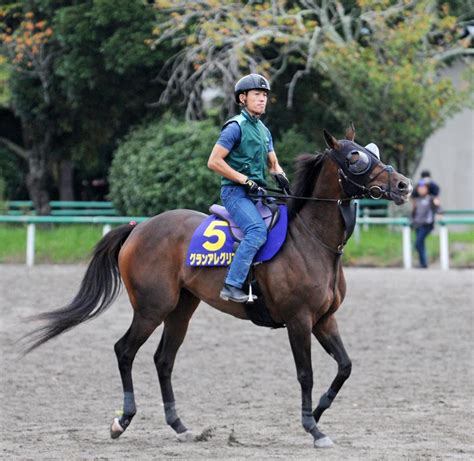 アブソルティスモ2017年産 競走馬データtop｜競馬予想のウマニティ