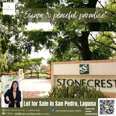 Sqm Residential Lot Sale San Pedro Laguna Property