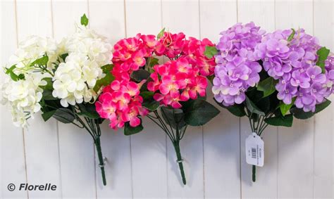 HYDRANGEA BUSH COLS ASS Florelle