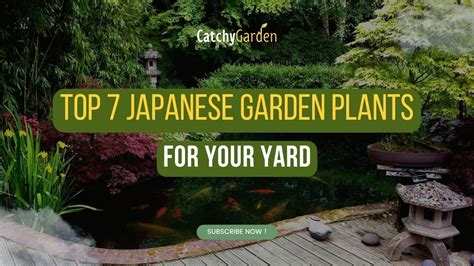 Top 7 Japanese Garden Plants For Your Yard YouTube