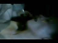 Naked Victoria Smurfit In The Last Great Wilderness Video Clip