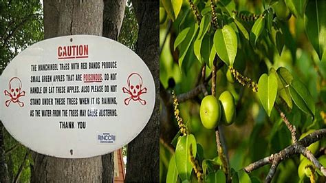 26 Strange Facts About Bizarre Occurrences