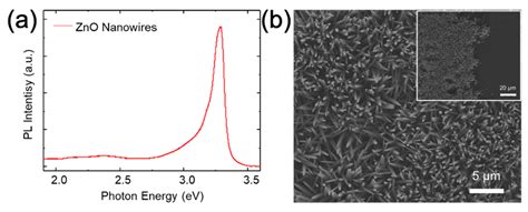 (a) RT PL spectrum of ZnO wires after the 4th cycle of the ...