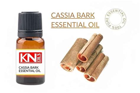 CASSIA BARK ESSENTIAL OIL - Buy 100% Pure & ESSENTIAL OIL from India ...