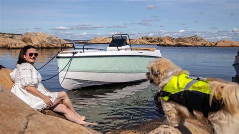 Teneriffa Ein Boot Ohne Lizenz Mieten GetYourGuide