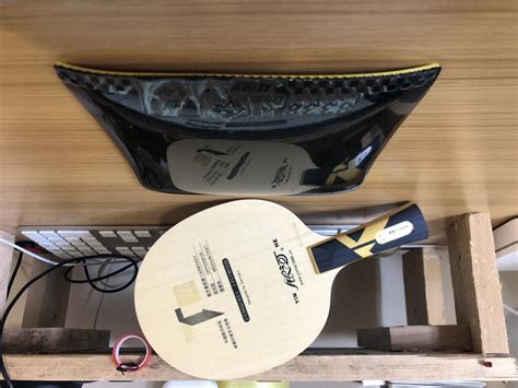 Review of Double Fish 8338 | TableTennisDaily