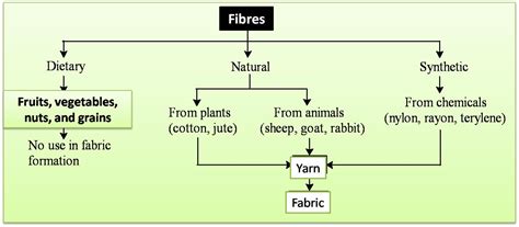 Cbse Notes For Class 6 Science Fibre To Fabric