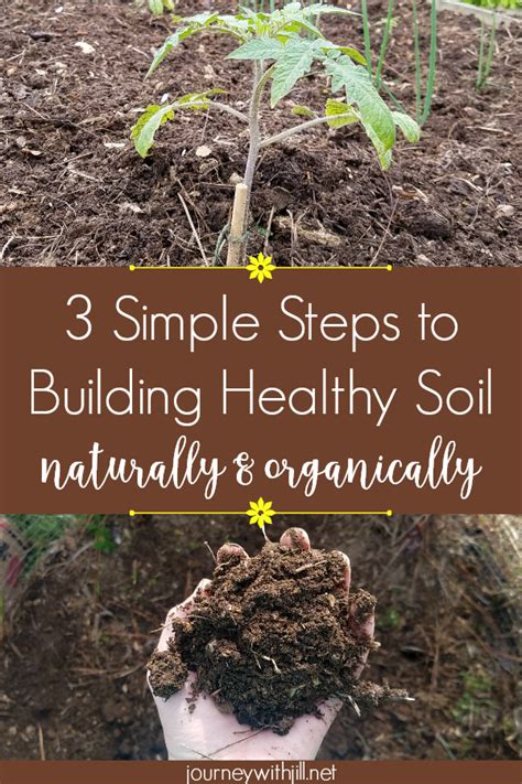 Building Healthy Soil Interview With The Organic Gardener Podcast S