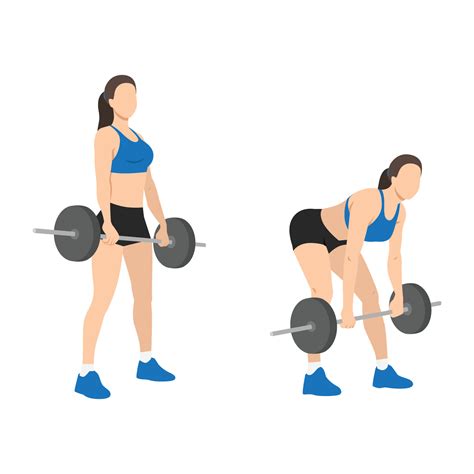 Woman Doing Barbell Romanian Deadlifts Exercise Vector Art At