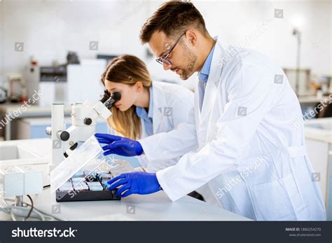 Mineral Lab Images: Browse 9,211 Stock Photos & Vectors Free Download ...