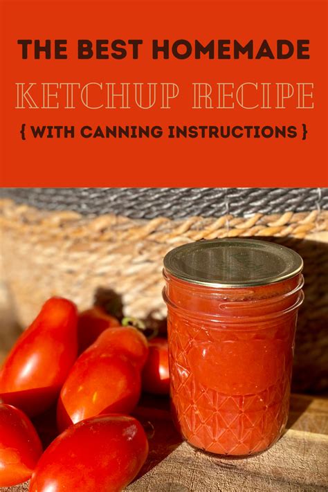 How To Make Homemade Ketchup From Fresh Tomatoes Artofit