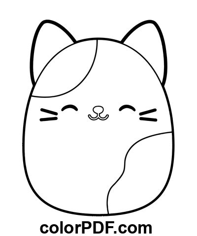 Gato Cameron De Squishmallows Dibujos Para Colorear Y Libros En Pdf