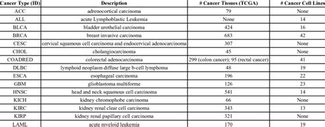 The Different Cancer Types Tissues And Cell Lines Whose Genome Wide Download Scientific