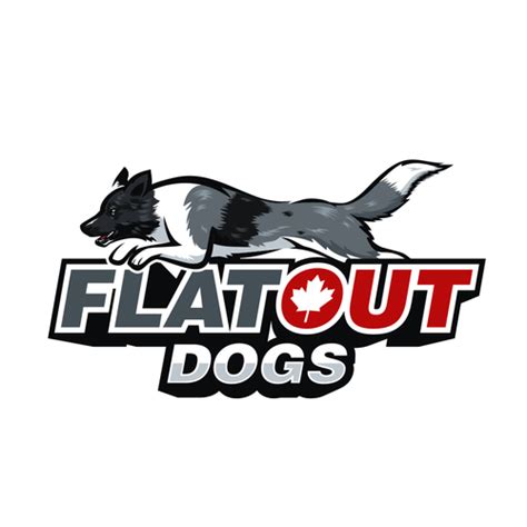 Dog Agility Business Logo Logo Design Contest