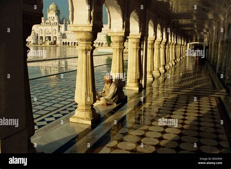 Sikh Elder At Prayer At The Golden Temple Of Amritsar Punjab State