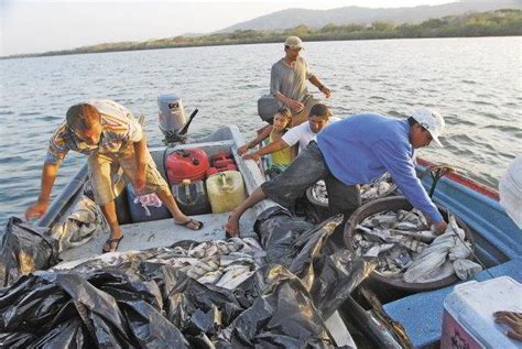 Especialistas Abordan El Ritmo De La Pesca Y Acuicultura En La Regi N