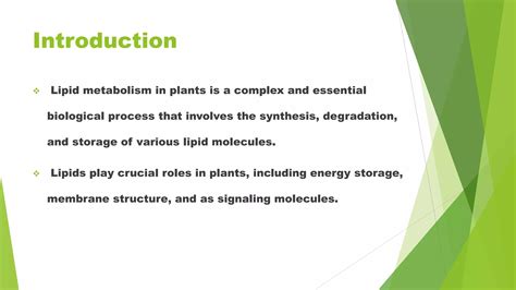 Lipid Metabolism In Plants Pptx