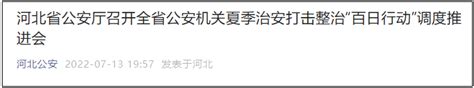 河北公安厅：“百日行动”以来共抓获犯罪嫌疑人558人