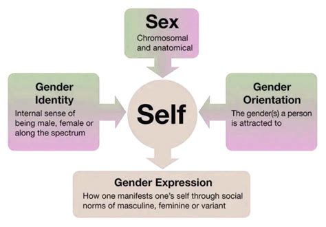 Gender Transitioning Expressing And Affirming Gender Identity