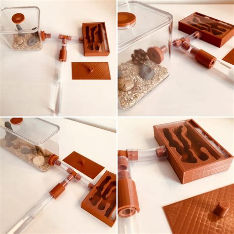 ANT SHACK - Formicarium and Ant Farm Kit Shop | Natural Ant Farm Kit ...