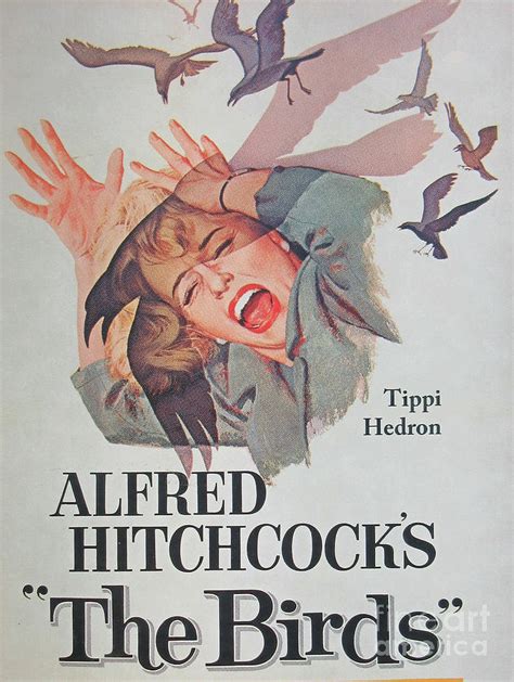 Director Alfred Hitchcock Rare Unique Collectible Famous Vintage Birds ...