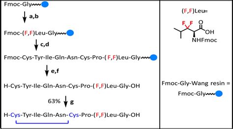 Solid Phase Peptide Synthesis Of Difluorinated Oxytocin A About 20 Download Scientific Diagram