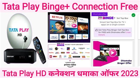 How To Get Tata Play Binge Set Top Box Free Tata Play New Connection