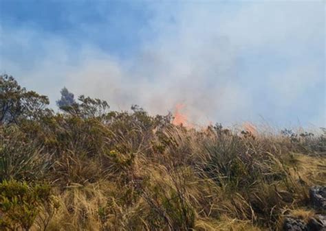 Fuego Destruye Pastos Naturales En La Sierra De Áncash Emergencia