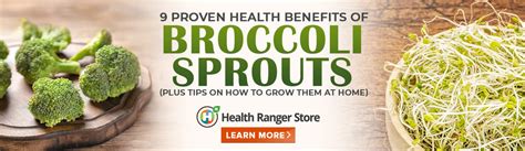 9 Health Benefits Of Broccoli Sprouts Plus Tips On How To Grow Them A — Health Ranger Store