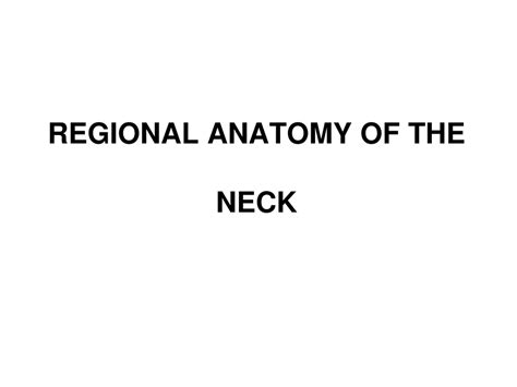 PPT - REGIONAL ANATOMY OF THE NECK PowerPoint Presentation, free