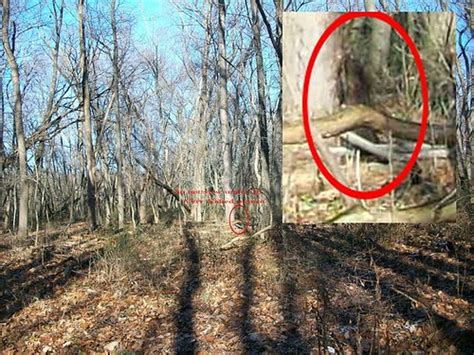 Photo Of Naked Ghost Woman In Tree This Photo Was Taken Mi Flickr