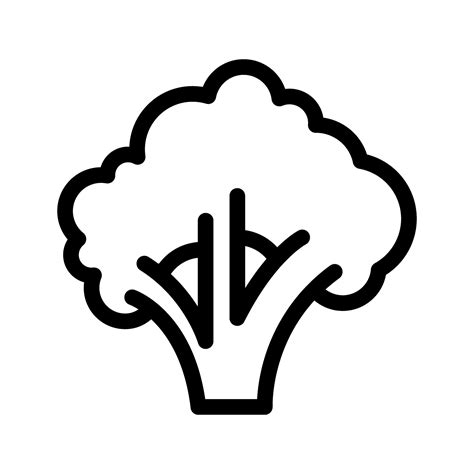 Broccoli Icon Vector Vegetables Illustration Sign Food Symbol